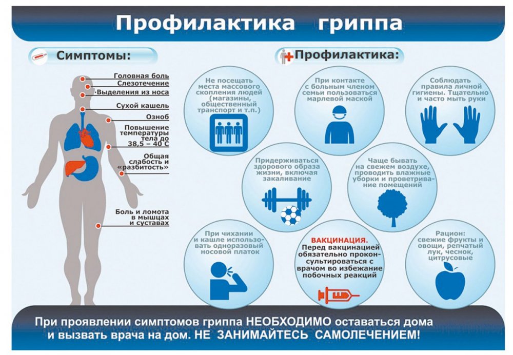 Информация по принятию необходимых мер, направленных на профилактику заражения гриппом