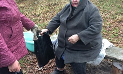 Серебряными Волонтерами проведено очередное мероприятие по оказанию социально-бытовой помощи гражданам пожилого возраста