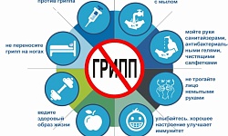 Информация по принятию необходимых мер, направленных на профилактику заражения гриппом