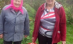 Серебряные волонтеры провели  осеннюю акцию по оказанию социально-бытовой помощи гражданам пожилого возраста